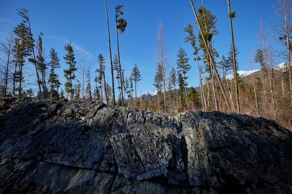 NHN Swan Lake Overlook, Bigfork, MT 59911 photo 14