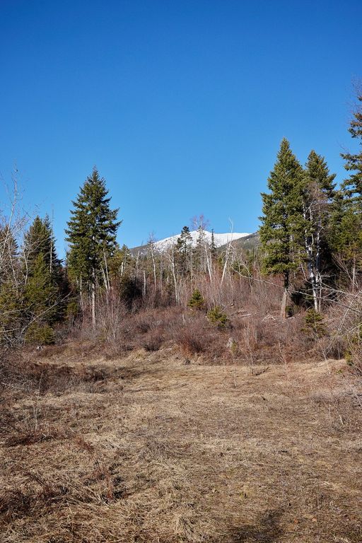 NHN Swan Lake Overlook, Bigfork, MT 59911 photo 15