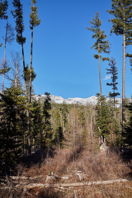 NHN Swan Lake Overlook, Bigfork, MT 59911 photo 16