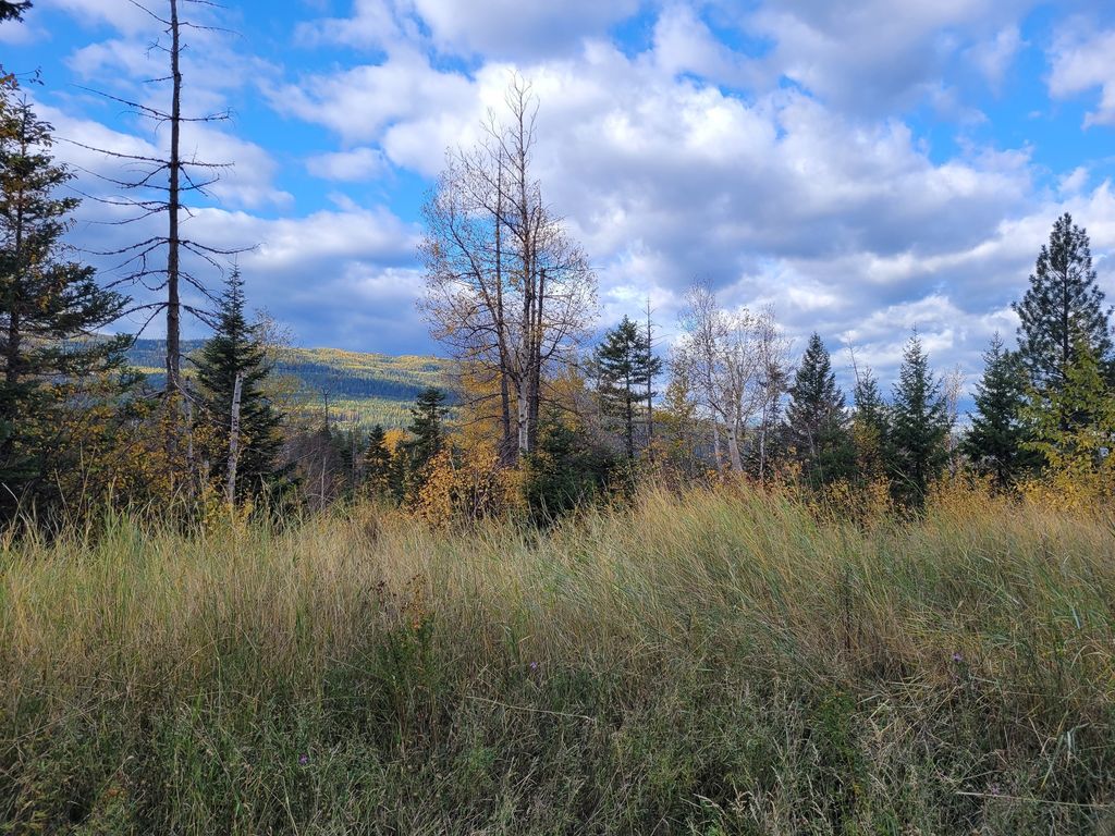 NHN Swan Lake Overlook, Bigfork, MT 59911 photo 2