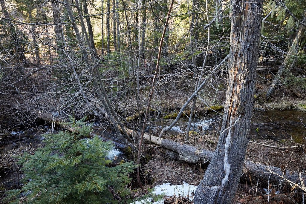 NHN Swan Lake Overlook, Bigfork, MT 59911 photo 20