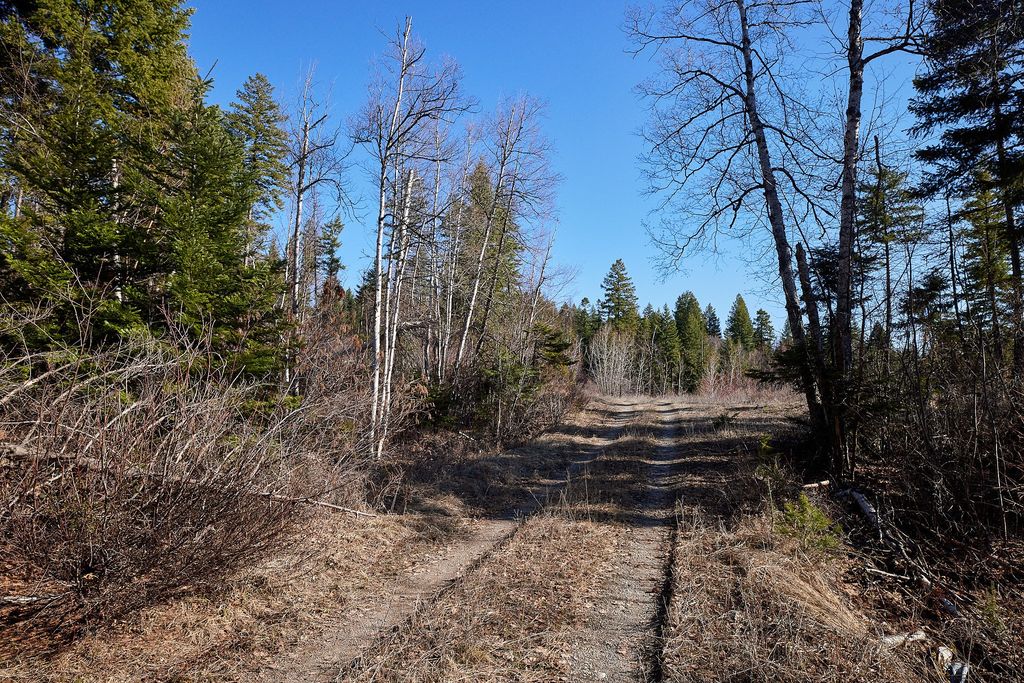 NHN Swan Lake Overlook, Bigfork, MT 59911 photo 21