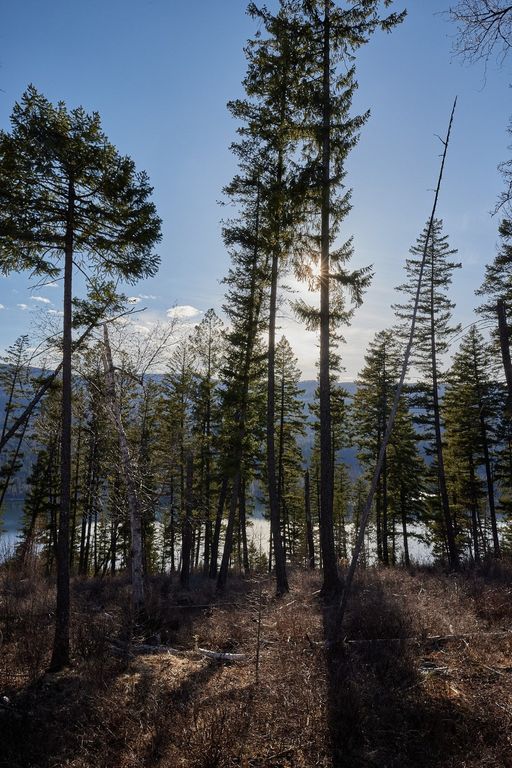 NHN Swan Lake Overlook, Bigfork, MT 59911 photo 24