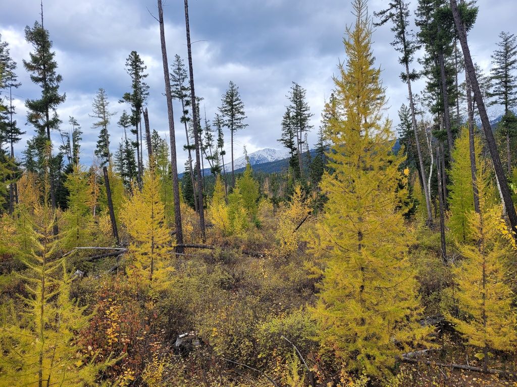 NHN Swan Lake Overlook, Bigfork, MT 59911 photo 25