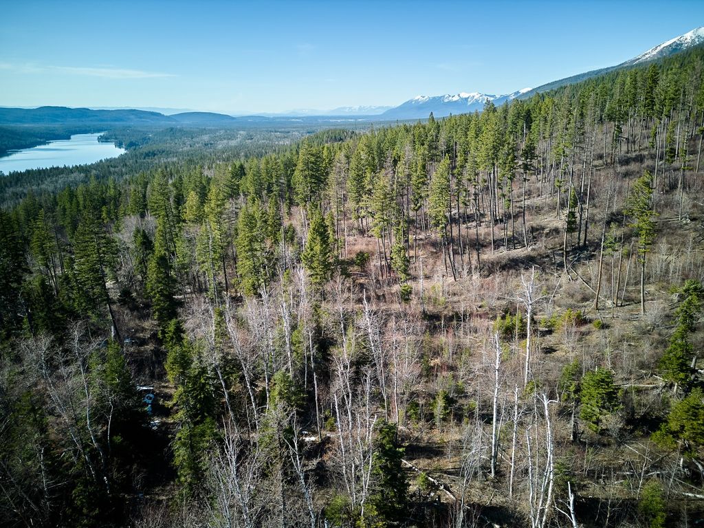 NHN Swan Lake Overlook, Bigfork, MT 59911 photo 32