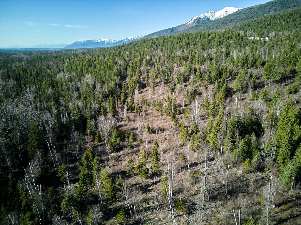 NHN Swan Lake Overlook, Bigfork, MT 59911 photo 35
