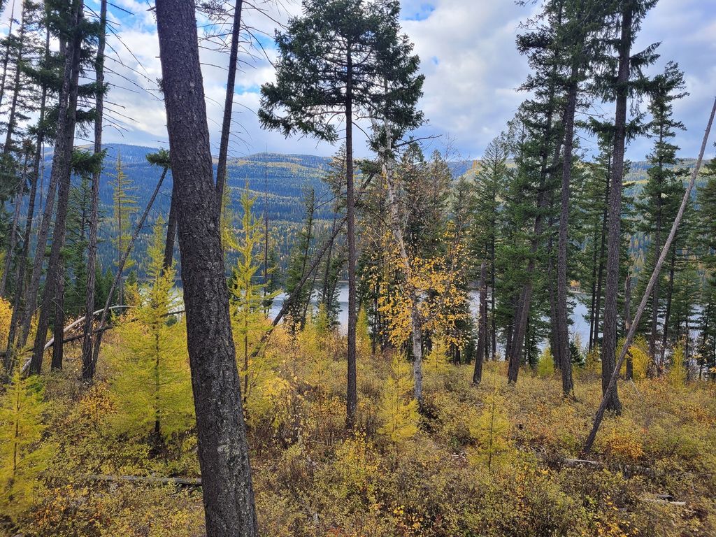 NHN Swan Lake Overlook, Bigfork, MT 59911 photo 5