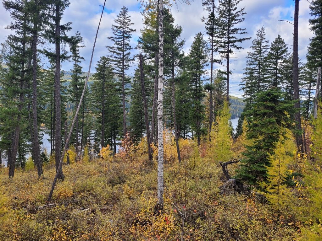 NHN Swan Lake Overlook, Bigfork, MT 59911 photo 6