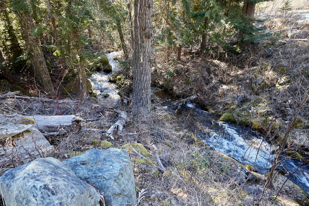 NHN Swan Lake Overlook, Bigfork, MT 59911 photo 8