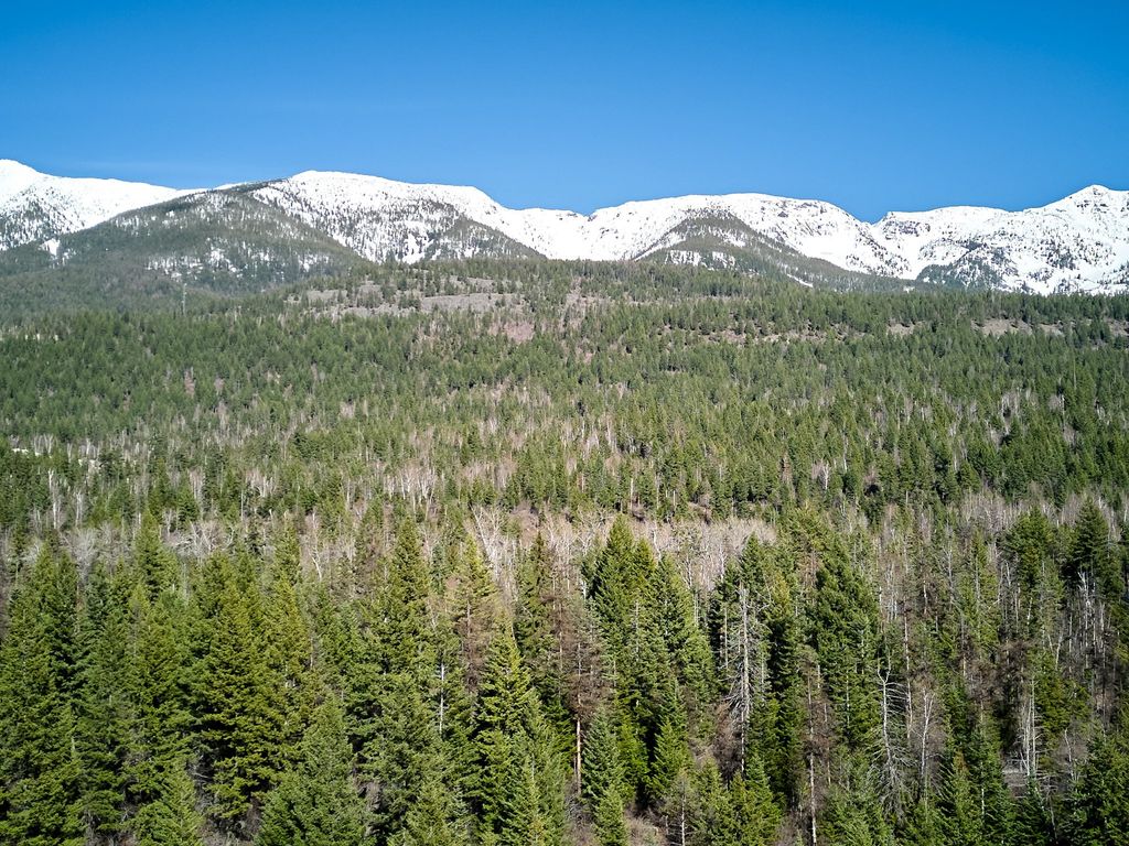 NHN Swan Lake Overlook, Bigfork, MT 59911 photo 9