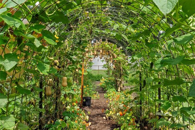 2026 LEWIS ROAD, Leesburg, FL 34748