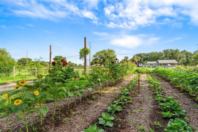 2026 LEWIS ROAD, Leesburg, FL 34748