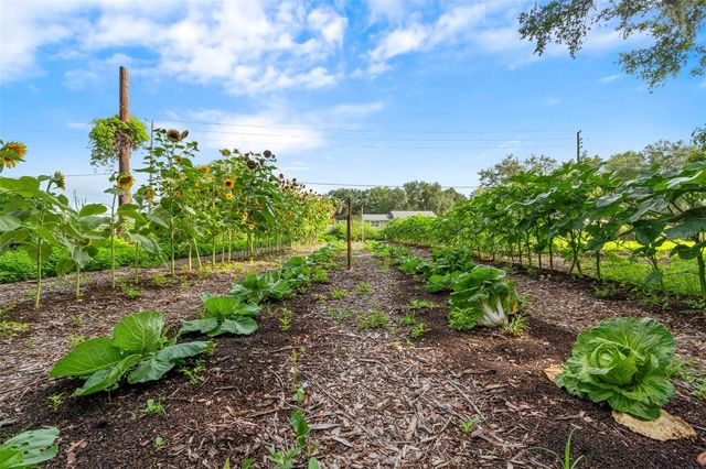 2026 LEWIS ROAD, Leesburg, FL 34748