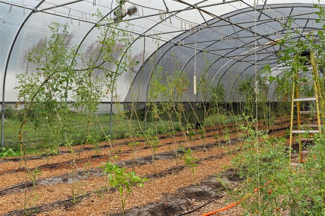 2026 LEWIS ROAD, Leesburg, FL 34748