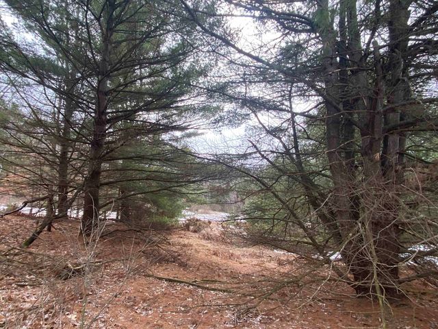 Lot 36 Kirkridge Drive, Williamsburg, MI 49690