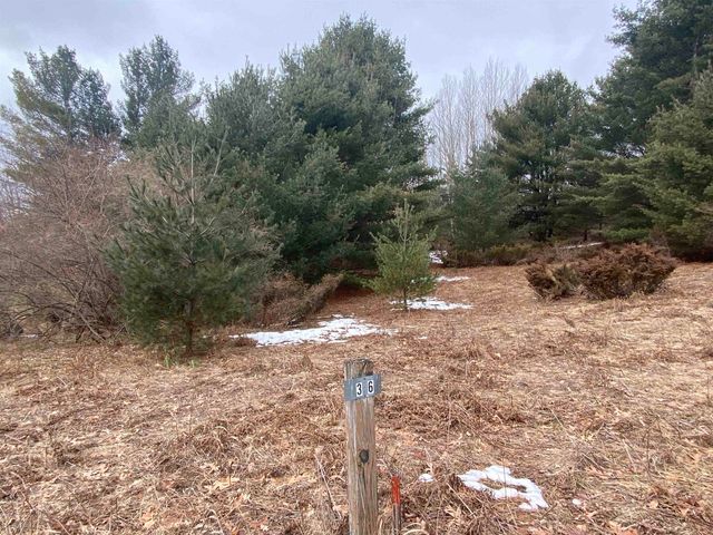 Lot 36 Kirkridge Drive, Williamsburg, MI 49690