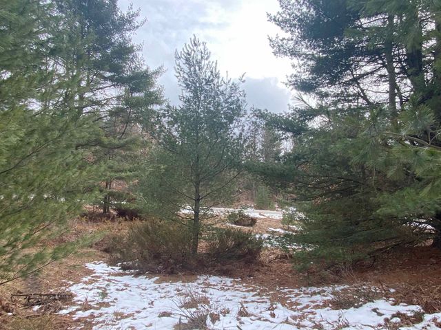 Lot 36 Kirkridge Drive, Williamsburg, MI 49690