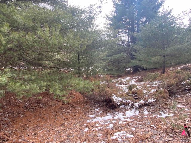Lot 36 Kirkridge Drive, Williamsburg, MI 49690