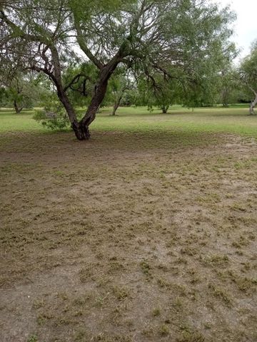 000 E FM 628 Lot 1, Riviera, TX 78379