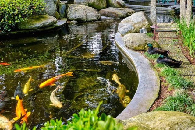 567 GAGE LANE, San Diego, CA 92106