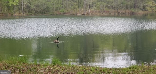384 Enon Grove Road, Franklin, GA 30217