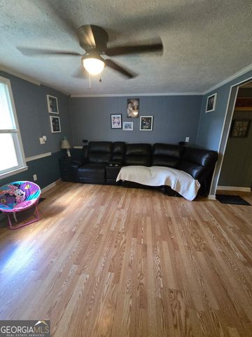 384 Enon Grove Road, Franklin, GA 30217