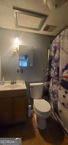 384 Enon Grove Road, Franklin, GA 30217