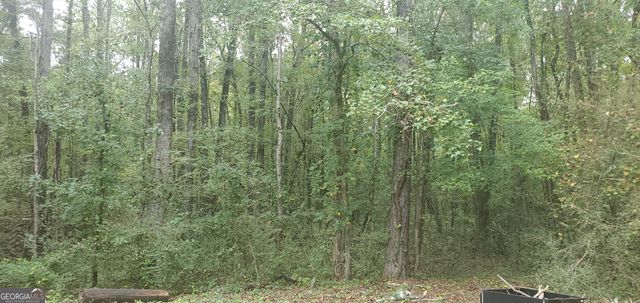 384 Enon Grove Road, Franklin, GA 30217