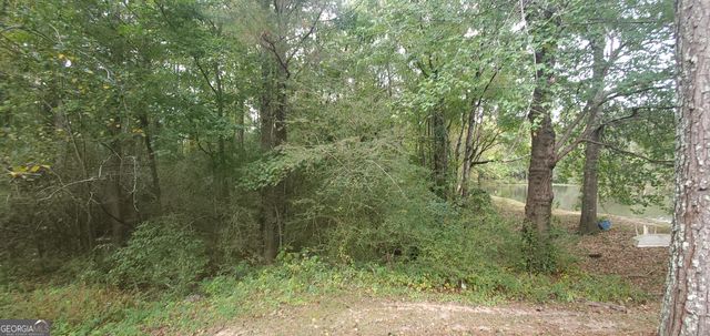384 Enon Grove Road, Franklin, GA 30217