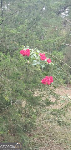 384 Enon Grove Road, Franklin, GA 30217