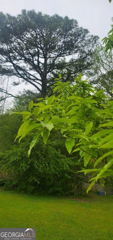 384 Enon Grove Road, Franklin, GA 30217