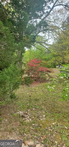 384 Enon Grove Road, Franklin, GA 30217