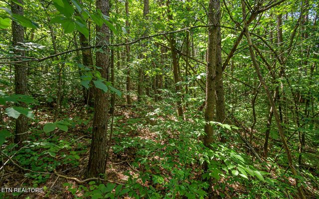 817 Big Creek Rd, Madisonville, TN 37354