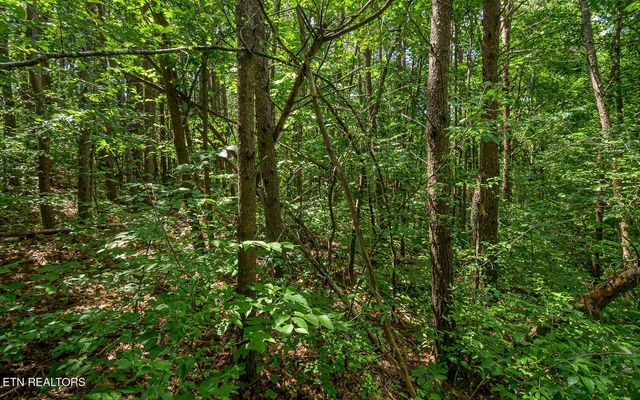 817 Big Creek Rd, Madisonville, TN 37354