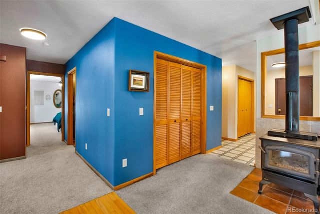 757 Thompson Park Road, Fairplay, CO 80440