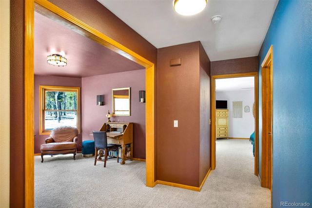 757 Thompson Park Road, Fairplay, CO 80440