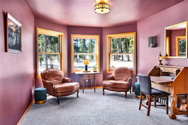 757 Thompson Park Road, Fairplay, CO 80440