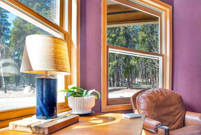 757 Thompson Park Road, Fairplay, CO 80440