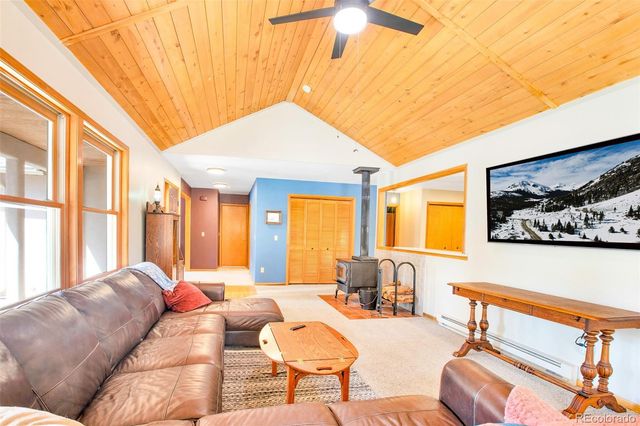 757 Thompson Park Road, Fairplay, CO 80440