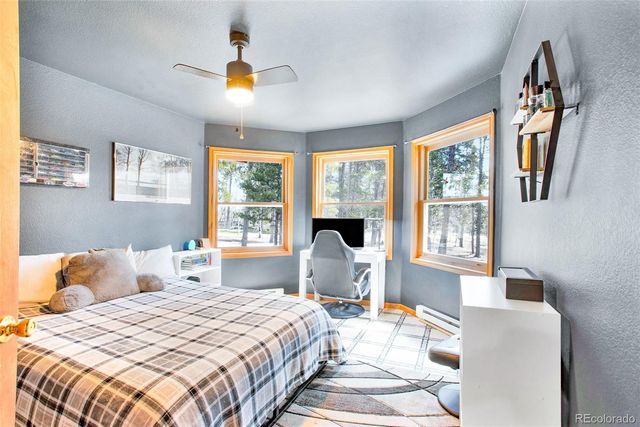 757 Thompson Park Road, Fairplay, CO 80440