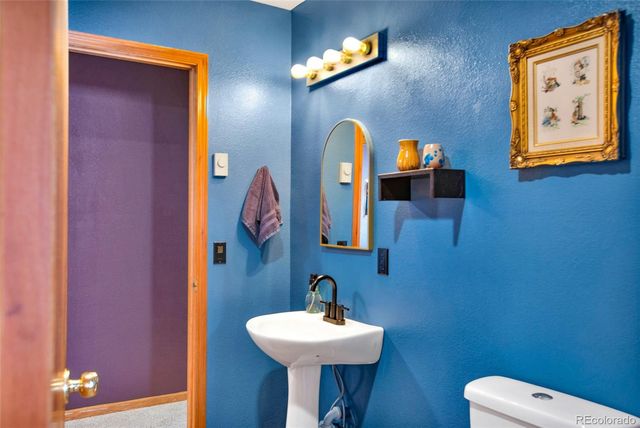 757 Thompson Park Road, Fairplay, CO 80440