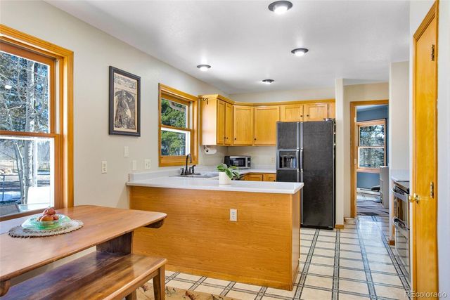 757 Thompson Park Road, Fairplay, CO 80440