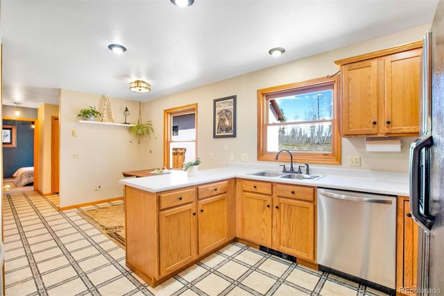 757 Thompson Park Road, Fairplay, CO 80440