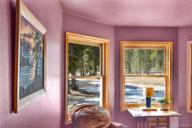 757 Thompson Park Road, Fairplay, CO 80440