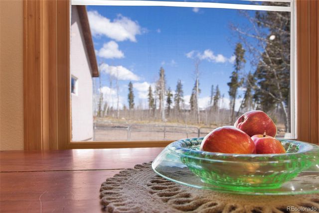 757 Thompson Park Road, Fairplay, CO 80440