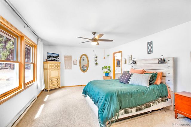 757 Thompson Park Road, Fairplay, CO 80440