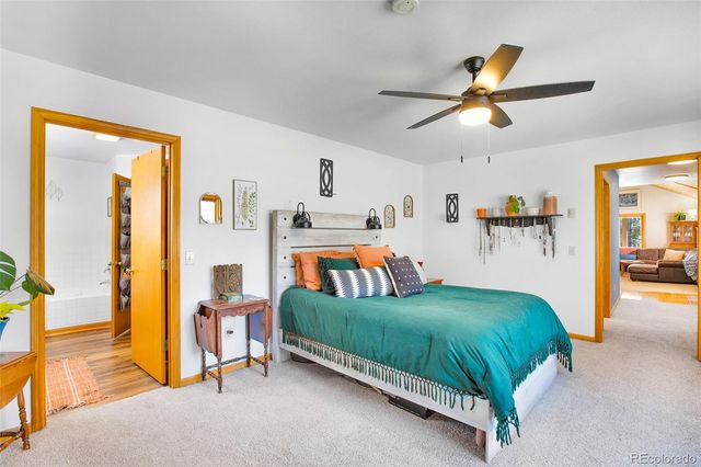 757 Thompson Park Road, Fairplay, CO 80440