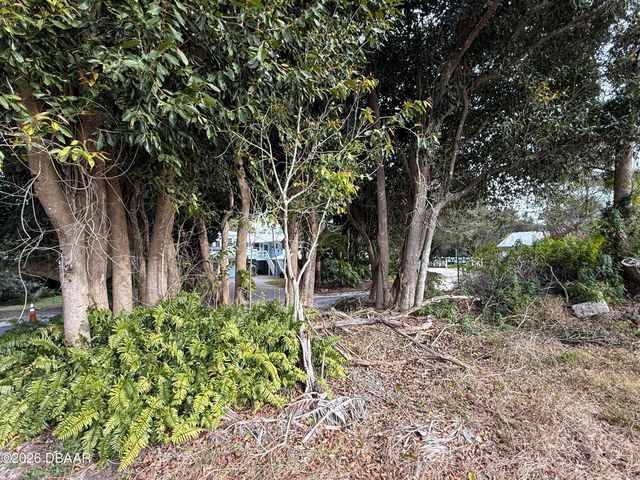 1602 N Indian River Road, New Smyrna Beach, FL 32169