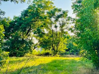 628 S Johnson Street, Mineola, TX 75773