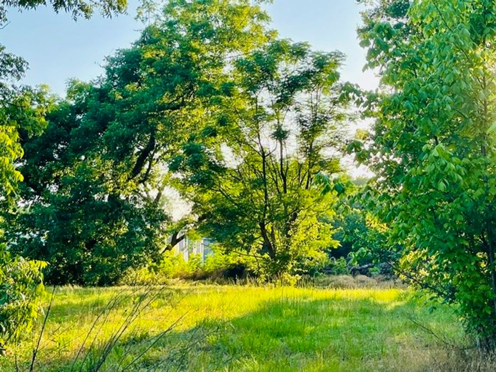 628 S Johnson Street, Mineola, TX 75773